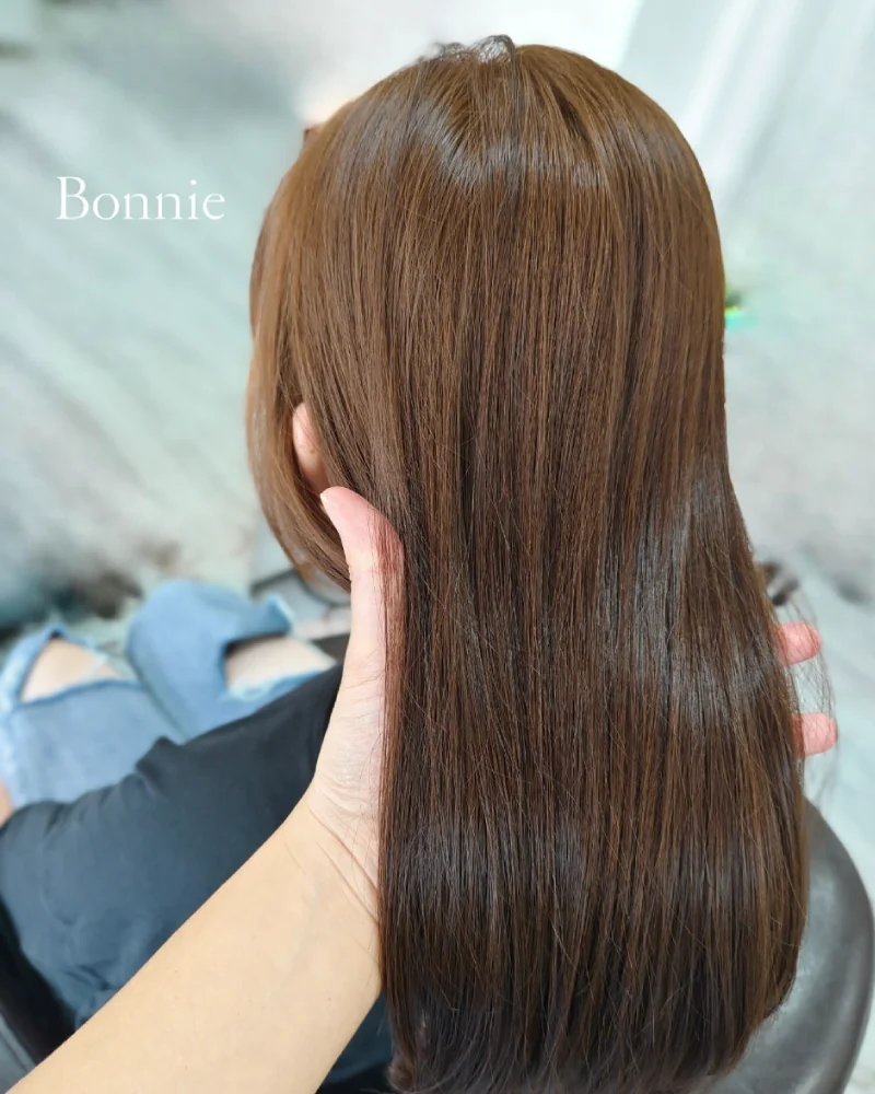 20號 Bonnie 木質調髮色