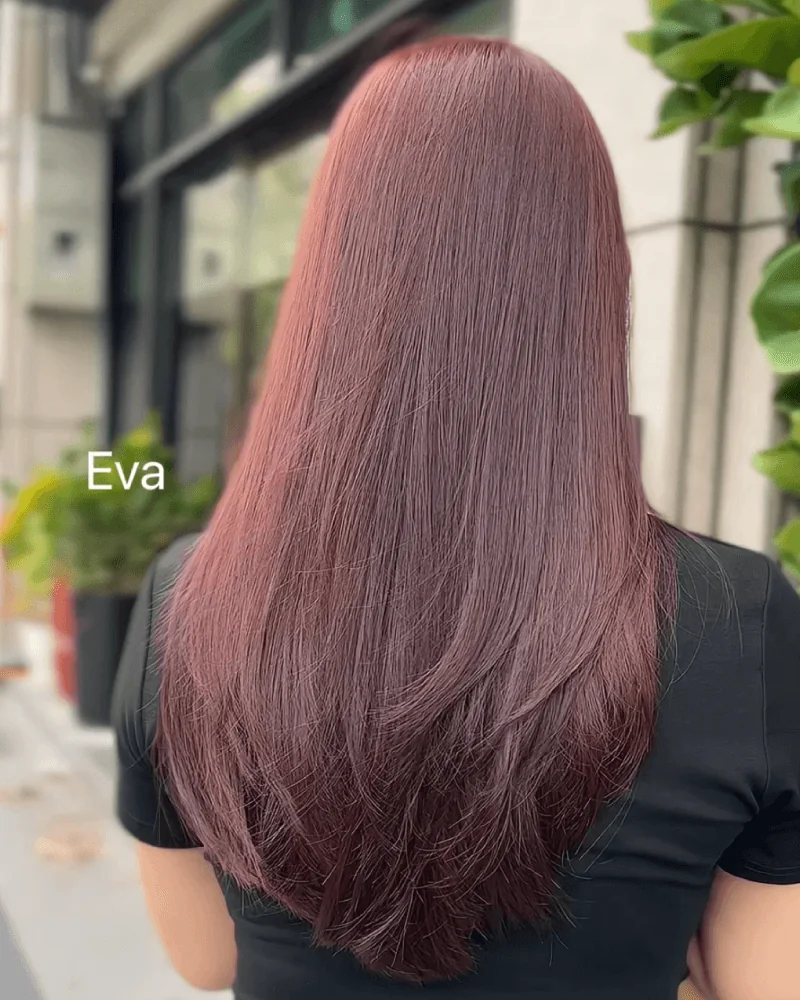 43號 Eva 樹莓紅 ༝ 免漂髮色