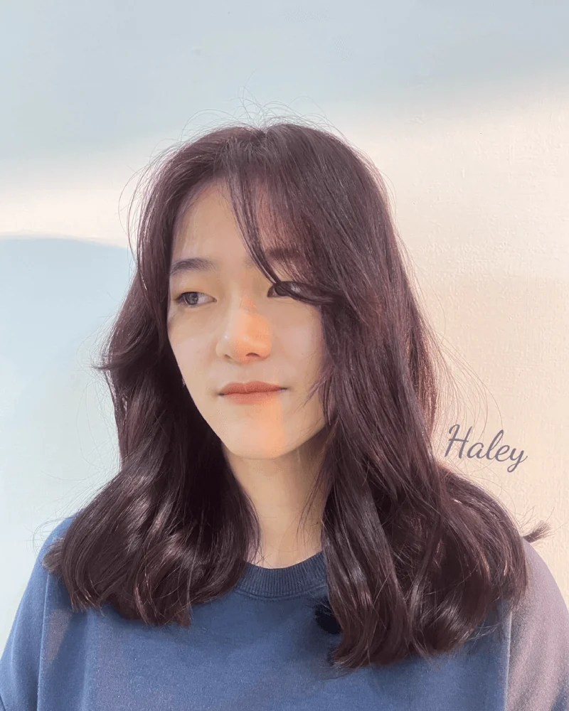23號 Haley 紫紅果棕色