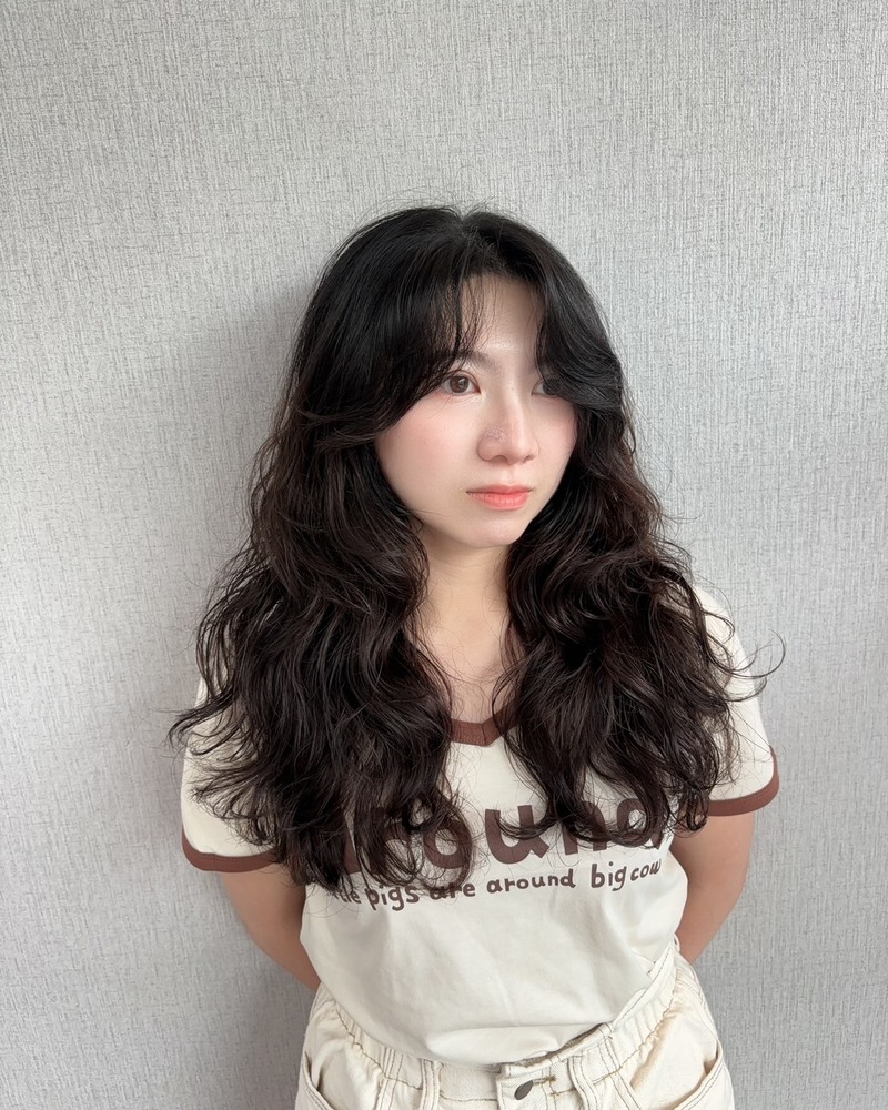 17號 Rosa 高捲紋
