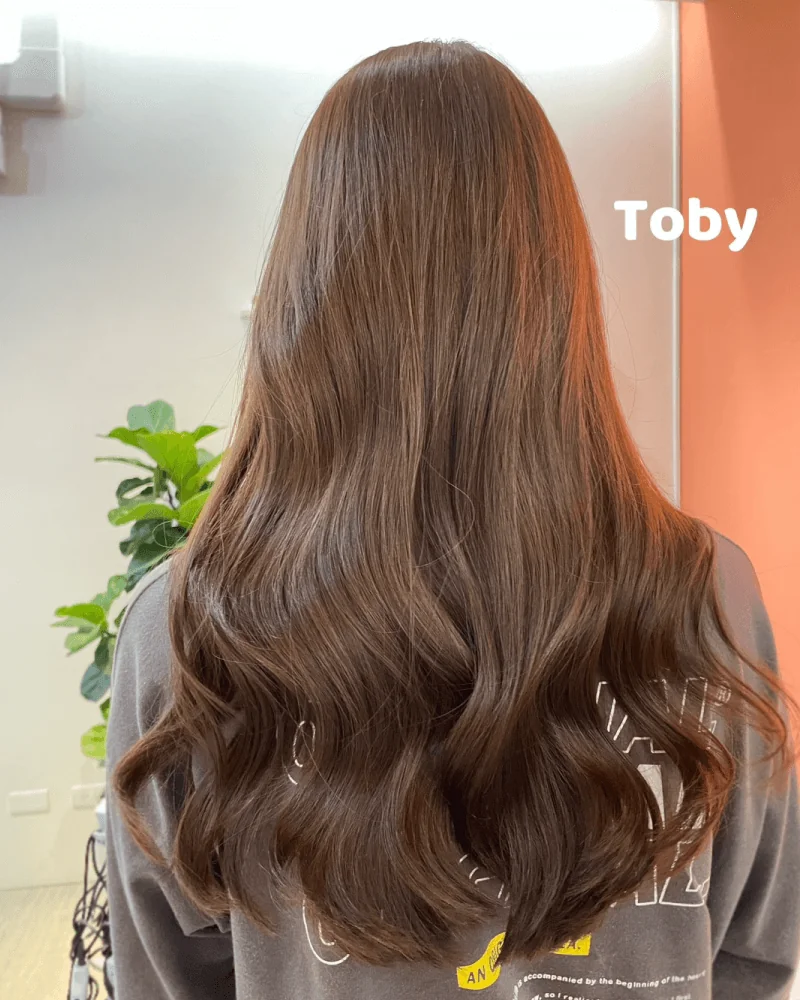 3號 Toby 奶茶棕