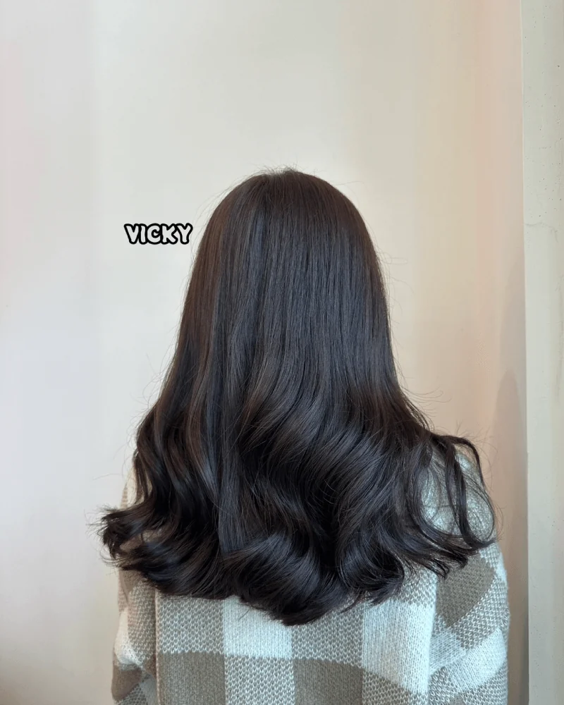 1號 Vicky 黑茶色